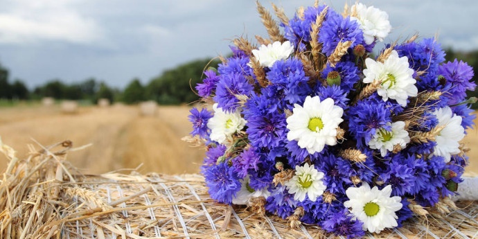 Organizza il tuo matrimonio in un agriturismo vicino Roma, scopri il fascino di sposarsi in campagna!